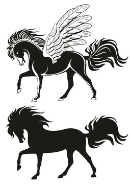 Pegasus winged Horse