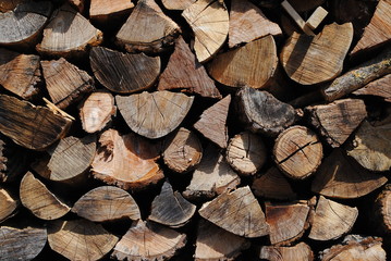 Fototapeta premium wood logs background