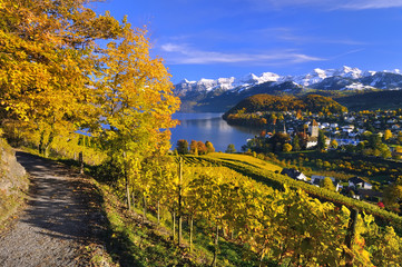 Spiez am Thunersee im Herbst mit Berner Alpen