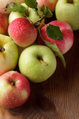 Apples crop