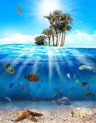 Underwarer © alphaspirit