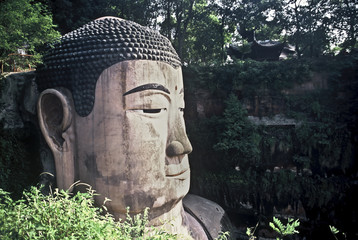 Face of the Grand Buddha