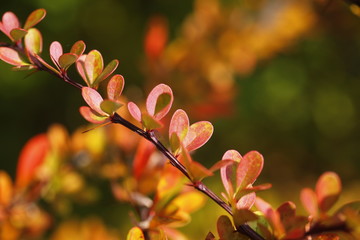Herbstzeit