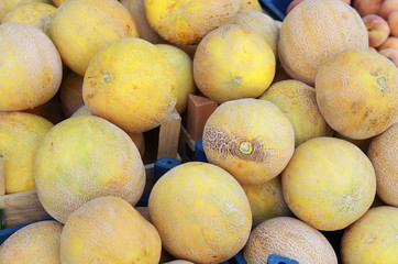 Melon