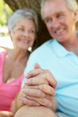 Portrait of senior couple