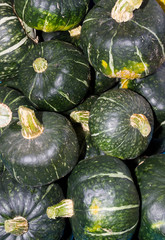 Buttercup winter squash on display