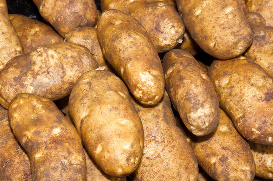 Russet Or Baking Potatoes On Display