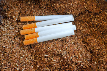 Cigarettes on loose tobacco