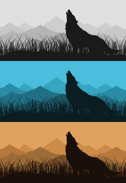 The wolf howls against mountain. A vector illustration