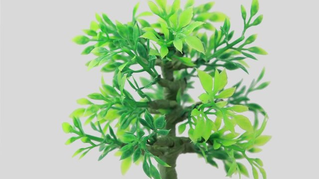 Artificial ornamental plant rotates counterclockwise