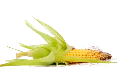 Foto op Canvas ear of corn © ksena32