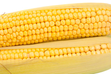 ear of corn