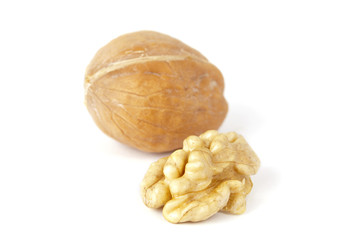 walnut