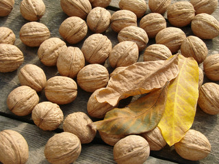 walnuts with leaves