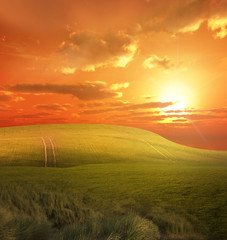 Sunset over golden countryside