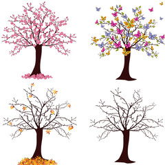Jahreszeiten - Baum