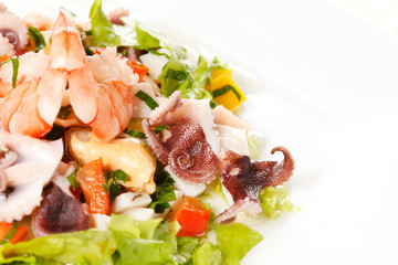 Seafood salad