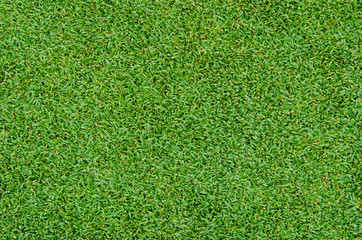 Fototapeta premium green grass pattern