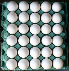 white eggs