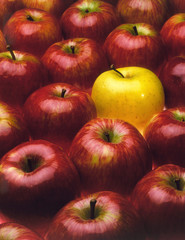 red apples with the exception of a yellow apple