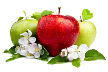 Red Apple in Front of Two Green Apples with flowers, Leaf and wa