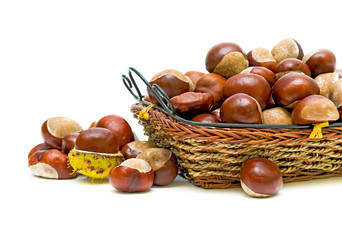 chestnuts