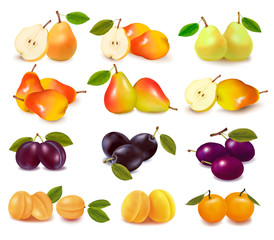 Group with different sorts of fruit. Vector.