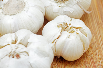 garlic