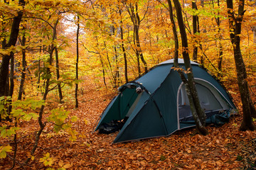 Tent in the autumn forest