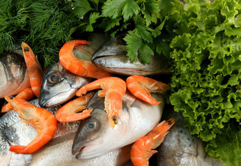 Obraz na płótnie Canvas Seafood with greens background