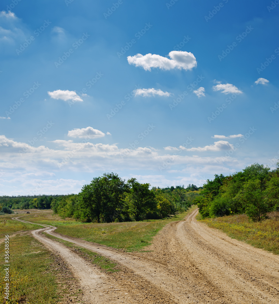 Wall mural two rural roads go to horizon under cloudy sky