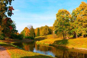 Obraz premium autumn park