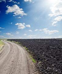 Naklejka premium rural road near black ploughed field