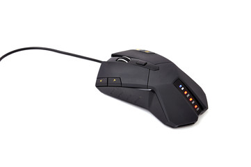 computer mouse