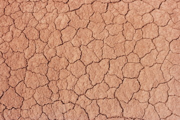 Steppe cracked clay earth in the summer