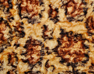 Decorative background - leopard skin