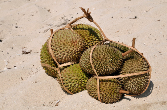 Durian