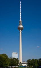Fototapeta premium Berliner Fernsehturm