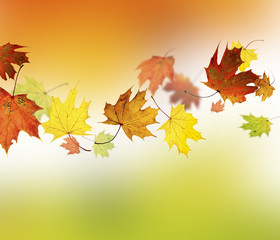 Autumn background