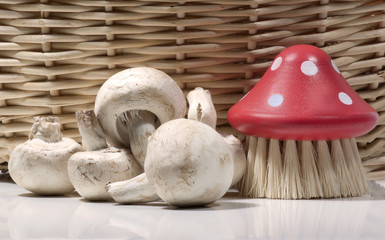 Pilze mit Gemüsebürste