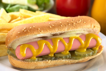 Hotdog with pickles, onion and mustard