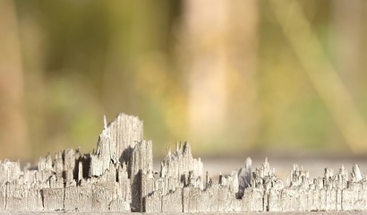 Macro city