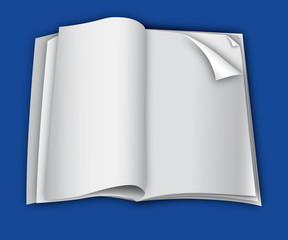 Magazine blank page template for design layout.