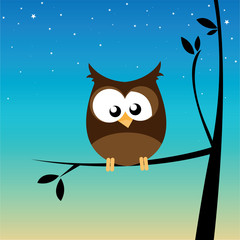 owl on a branch