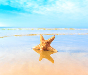 Fototapeta na wymiar Landscape Beach Star