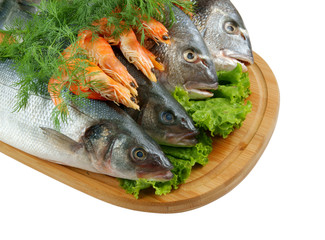 Seafood on cutting board isolated