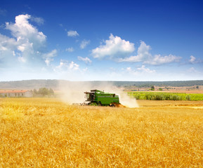 Combine harvester harvesting wheat cereal