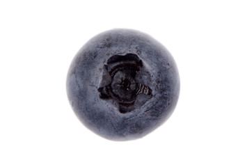 Blueberry