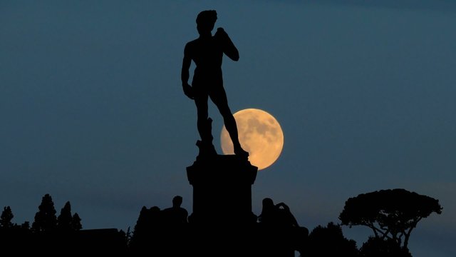Italy David Piazza Michelangelo 5