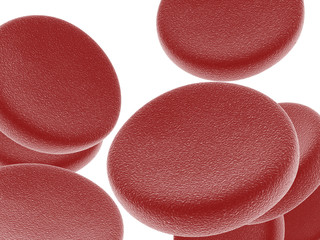 3d blood cells